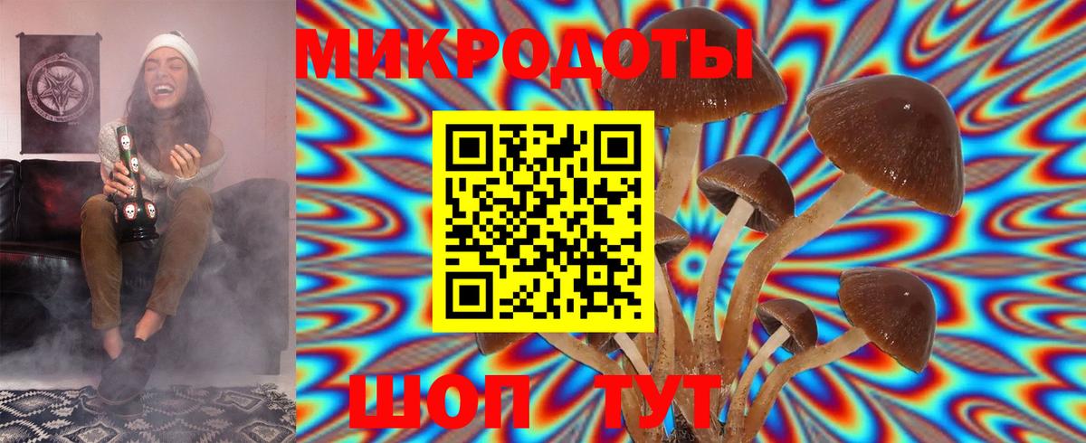 Галлюциногенные грибы Psilocybine cubensis  Псилоцибиновые грибы GOLDEN TEACHER  купить наркотики цена  Вход с VPN  Новочебоксарск 