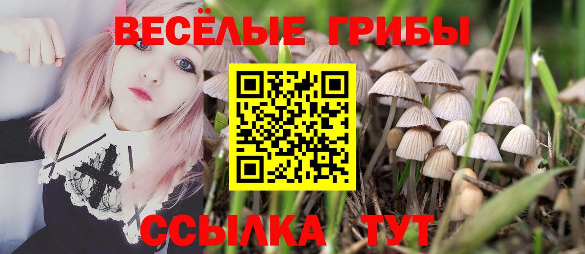 Псилоцибиновые грибы MAGIC MUSHROOMS Новочебоксарск