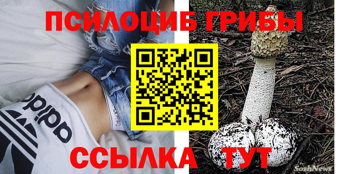 Галлюциногенные грибы GOLDEN TEACHER Новочебоксарск