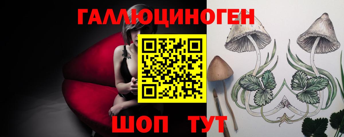 Хмурый  КОКАИН  Конопля  A PVP  Круглые  Новочебоксарск  ГАШИШ  Вход с VPN  Мефедрон 